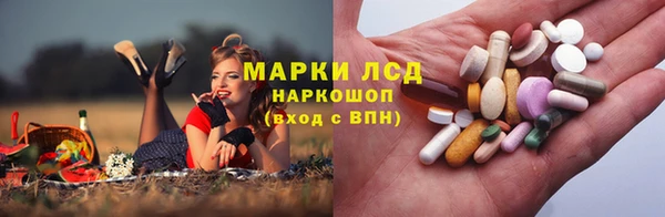 ешки Вязьма