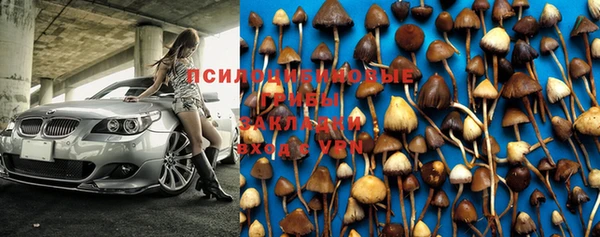 ешки Вязьма