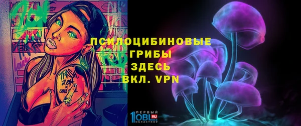 дмт Вяземский