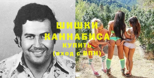 ешки Вязьма